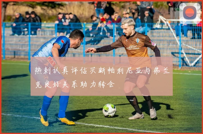热刺认真评估买断帕利尼亚与弗兰克良好关系助力转会