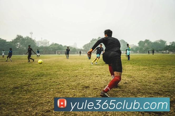 乐鱼体育服务体系